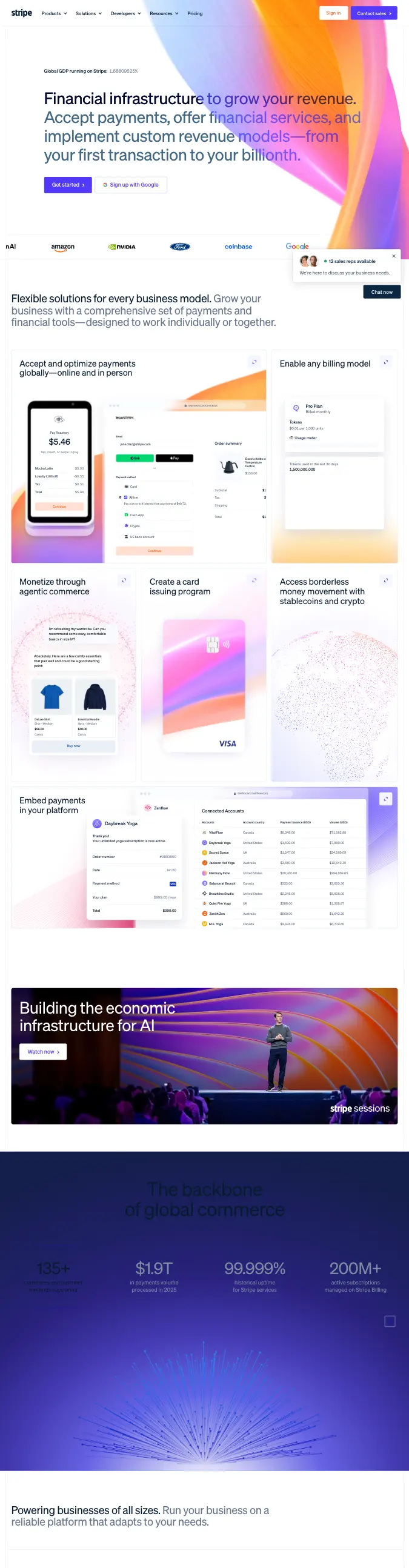 Stripe — Clean Corporate preview